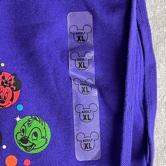 Disneyland Resort Drawstring Bag Purple Fleece Backpack 2011 Bag Only NWT's - Picture 3 of 9